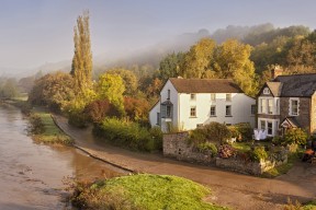 九游官网入口下载-灰熊重用年轻球员着眼未来培养计划，灰熊最强球员
