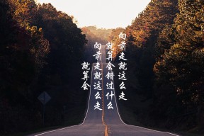 九游娱乐下载-“2025世界游泳锦标赛：水上芭蕾展示别样优雅与力量”