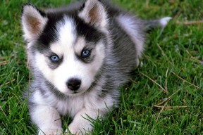 九游娱乐平台-女子冰壶国家队训练营引入新战术模块，女子冰壶国家队名单