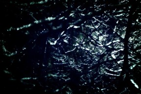 九游官网入口地址-国家女篮多套战术组合应对不同比赛节奏，国家女子蓝球队