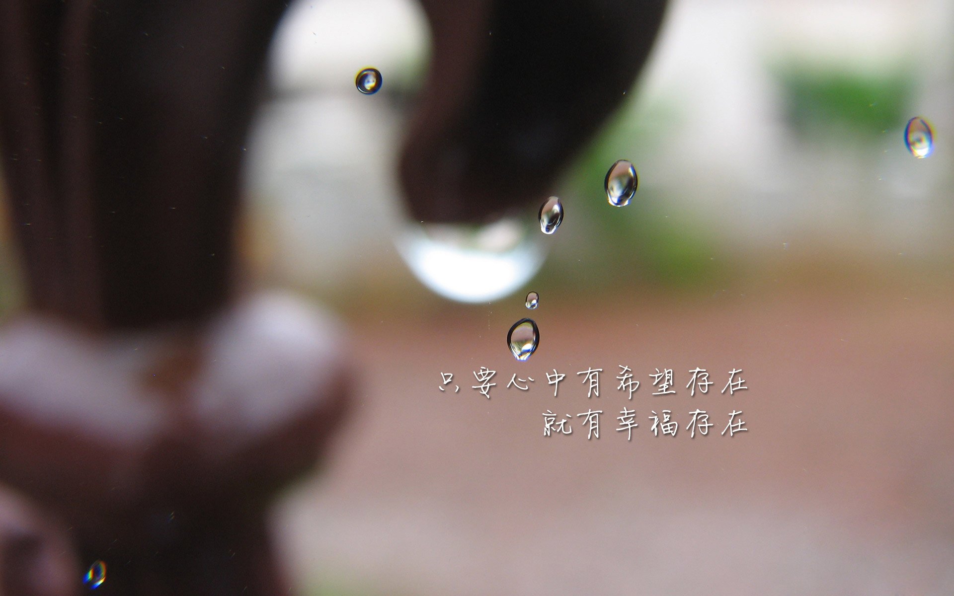 “新加坡见证泳池奇迹！2025世界游泳锦标赛极限挑战开启”