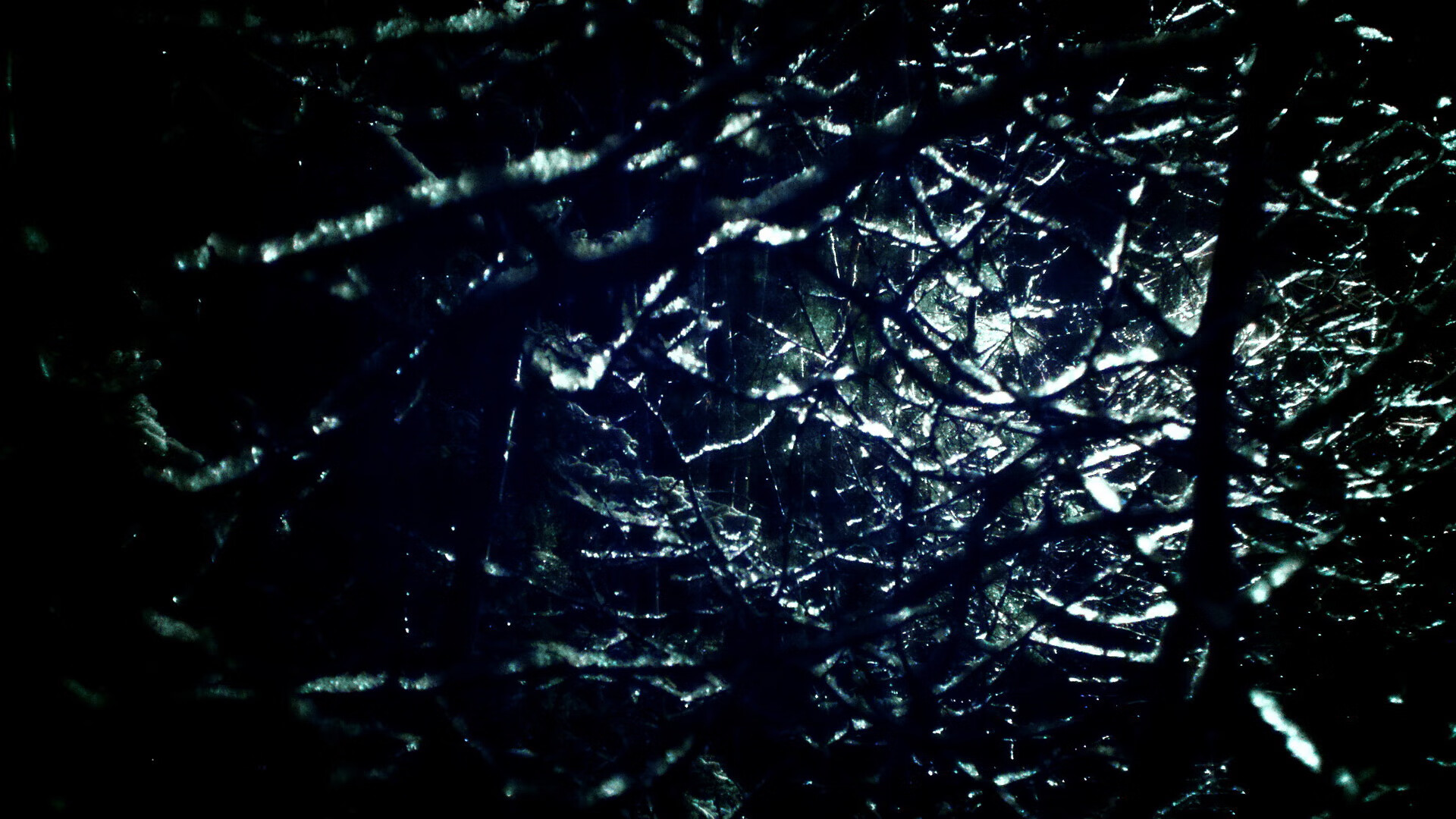 国家女篮多套战术组合应对不同比赛节奏，国家女子蓝球队