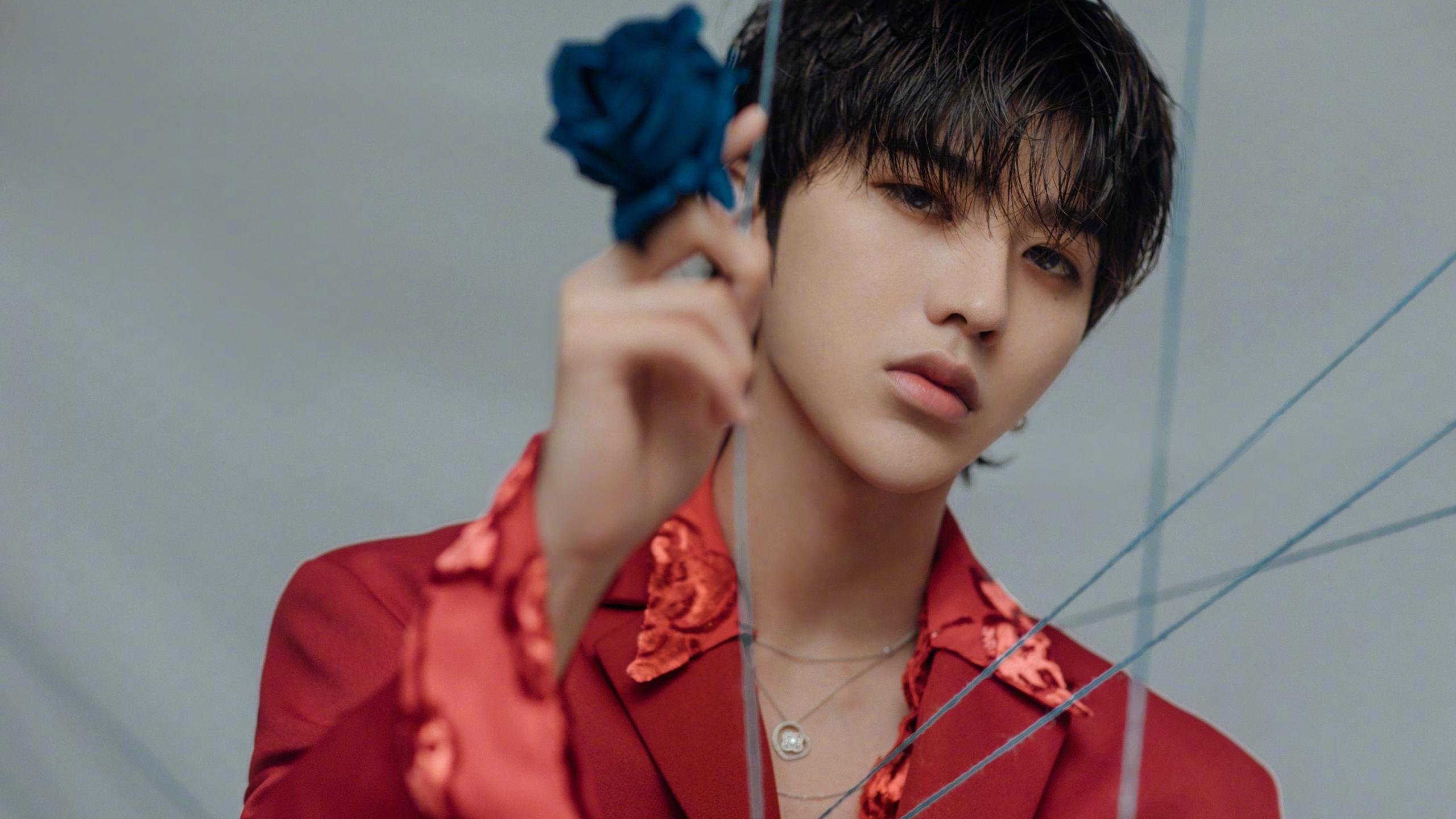 自由泳接力强势摘金，自由泳接力全程