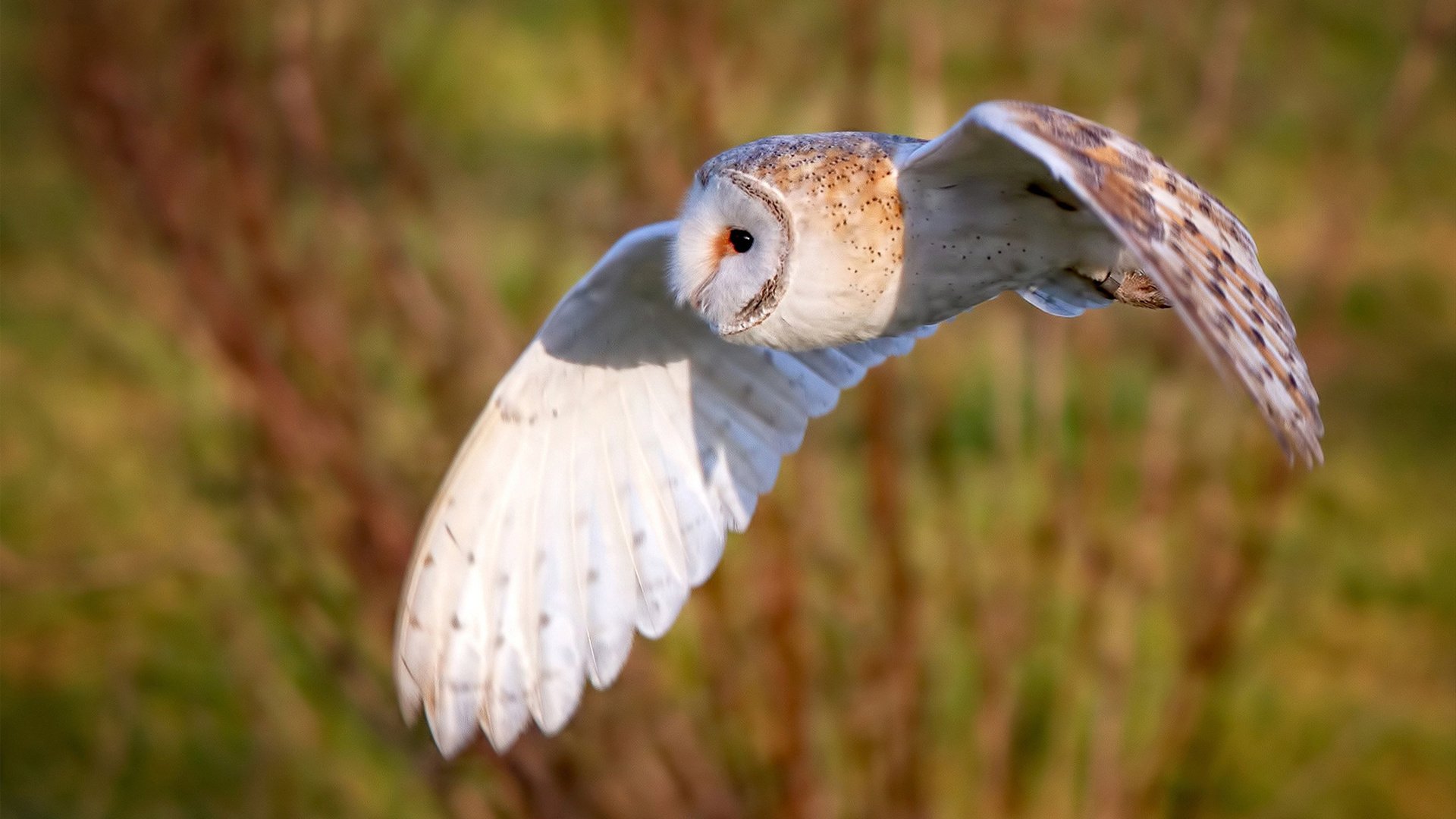 队内战术会议如何提升比赛执行效率,比赛战略战术